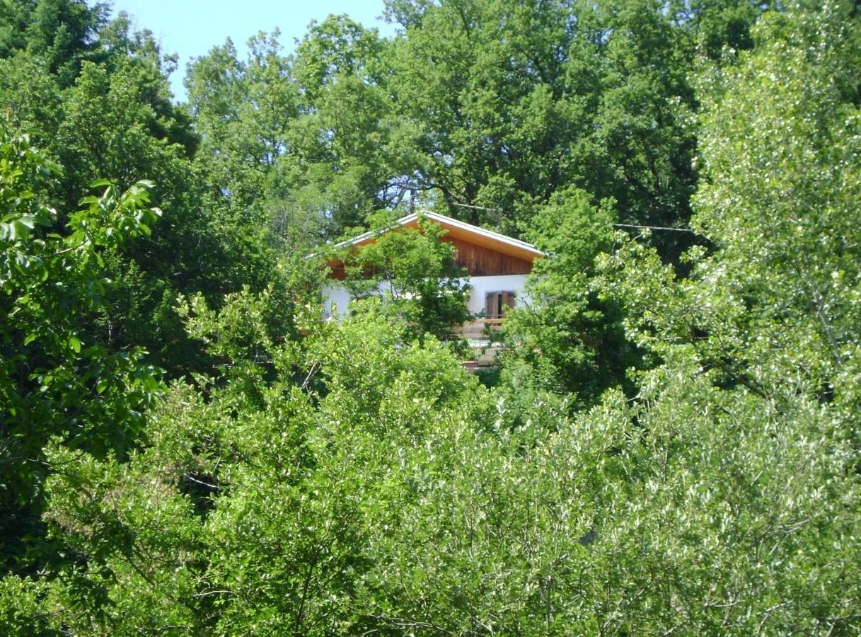 M&G Ranch Bed & Breakfast Vendaso Exterior photo